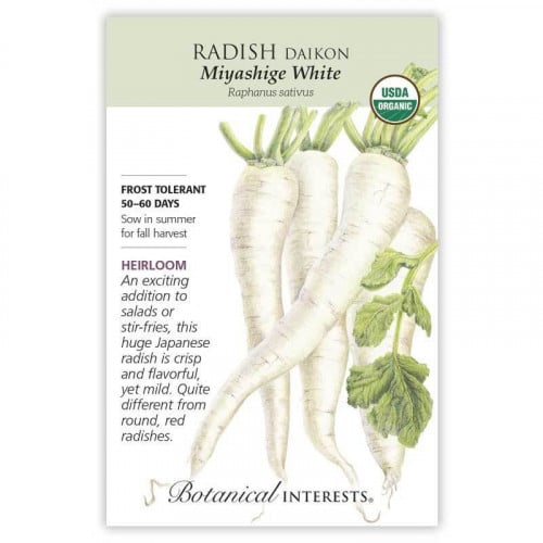 بذور فجل دايكون الأبيض - Miyashige White Daikon Radish Seeds