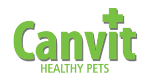 Canvit - كانفيت