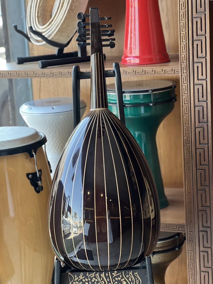 عود مصري مصنع ڤيولا فرس متحركة