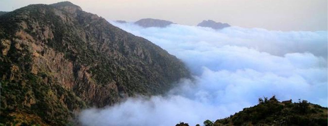 Beauteen image-slider-0