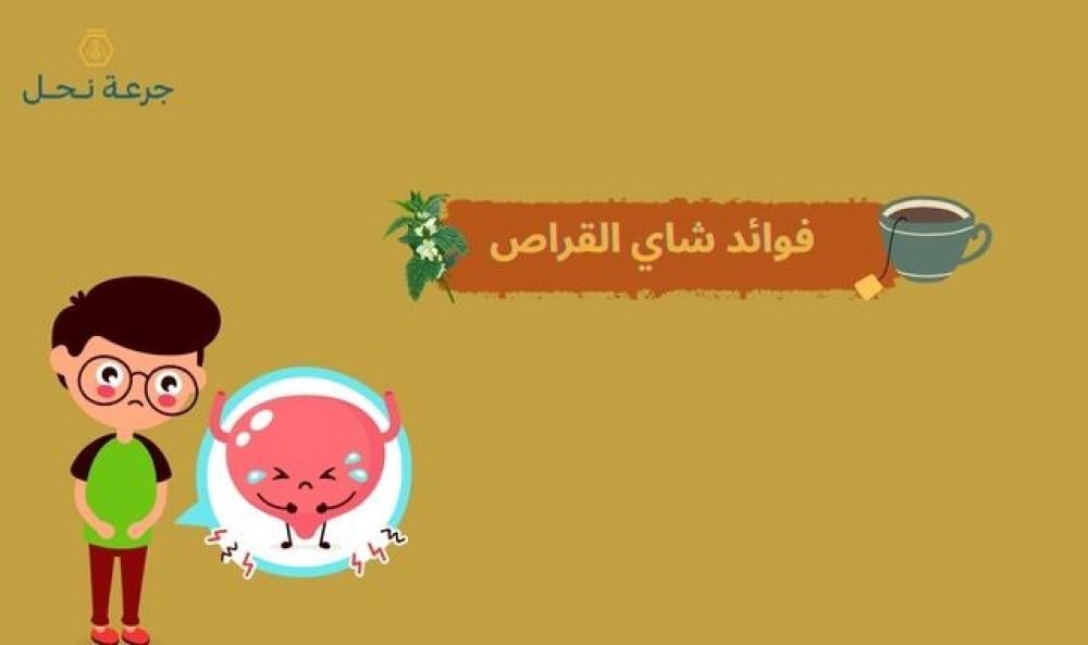 فوائد شاي القراص