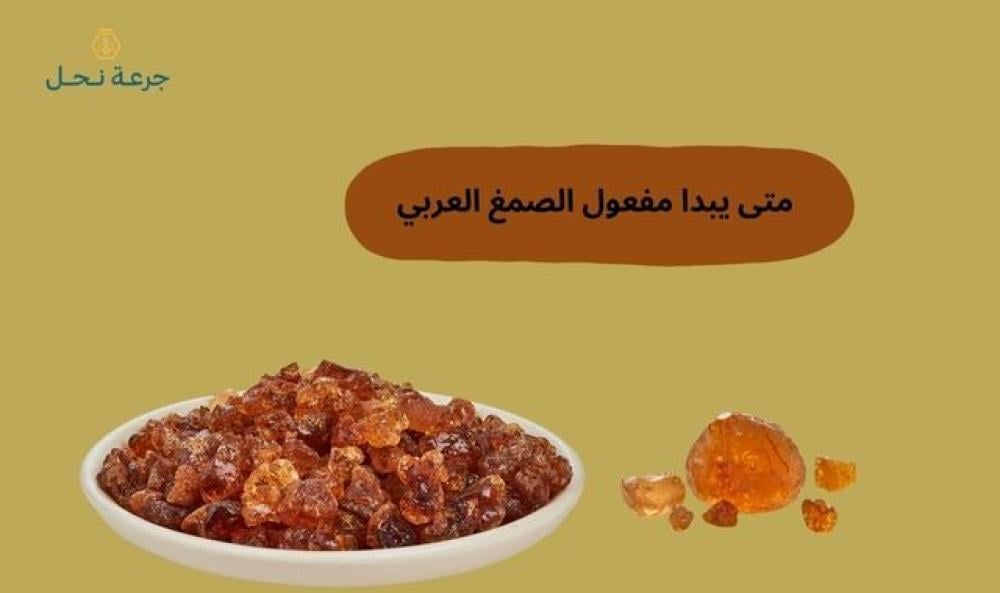 متى يبدا مفعول الصمغ العربي