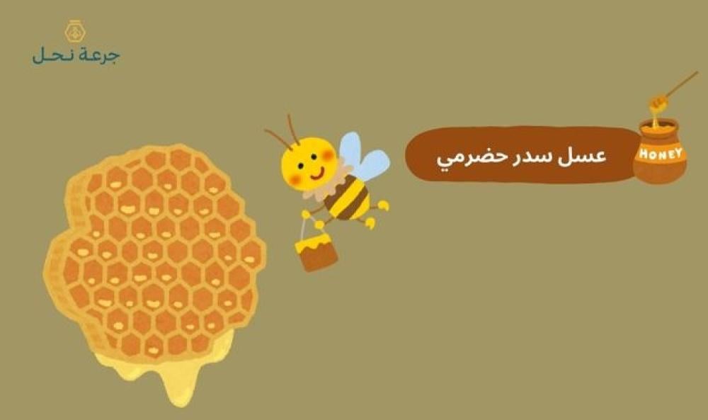 عسل سدر حضرمي