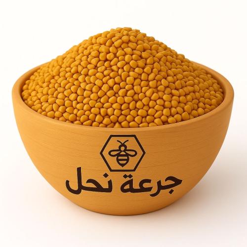 حلبة الخيل