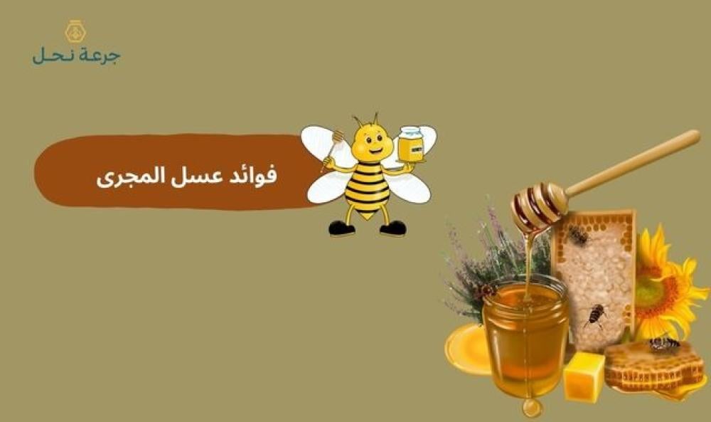 فوائد عسل المجرى