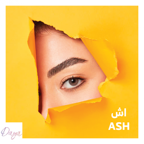 DAYA عدسات دايا اليوميه ASH