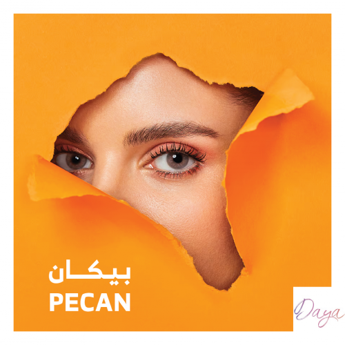 DAYA عدسات دايا اليوميه pecan