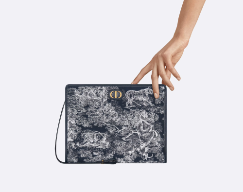 Dior 30 Montaigne Dea Pouch