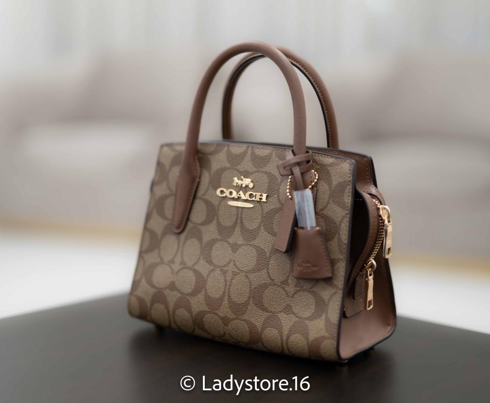 Coach Andrea Carryall Bag In Signature Canvas