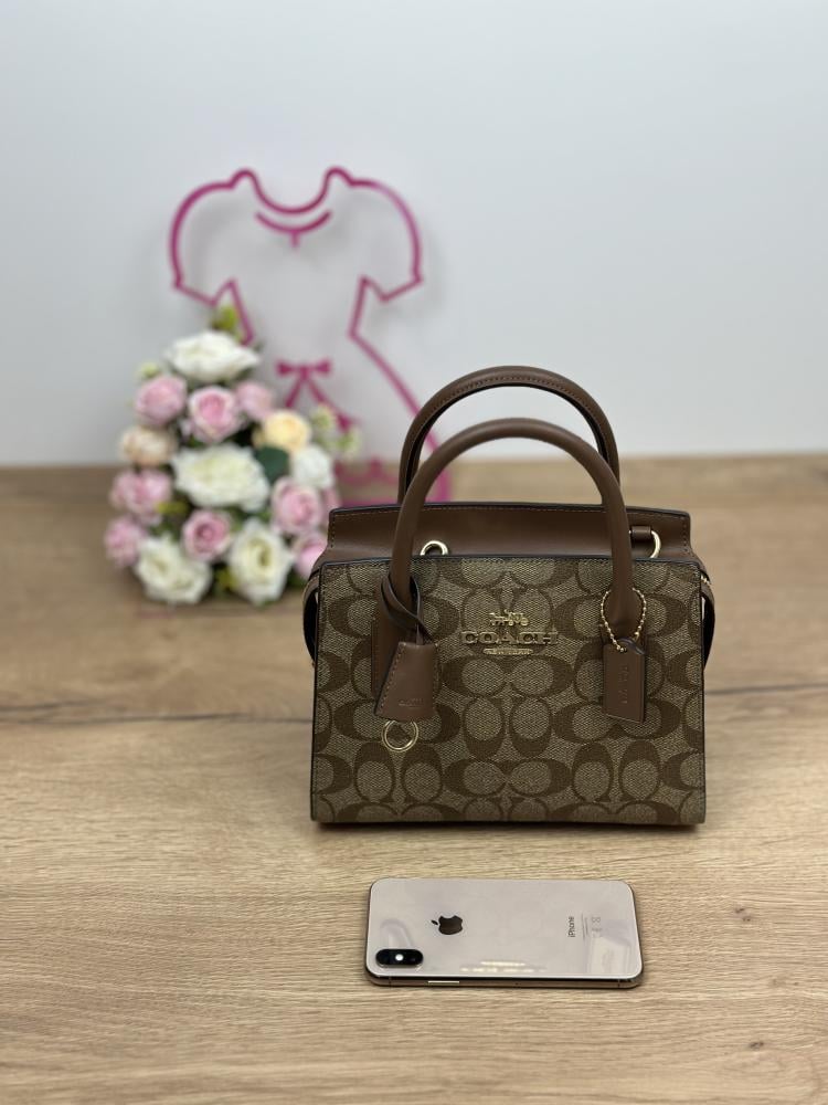 Coach Andrea Carryall Bag In Signature Canvas