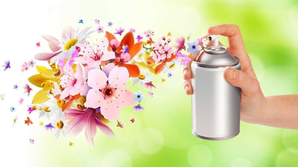 اهمية المعطرات في المنزل