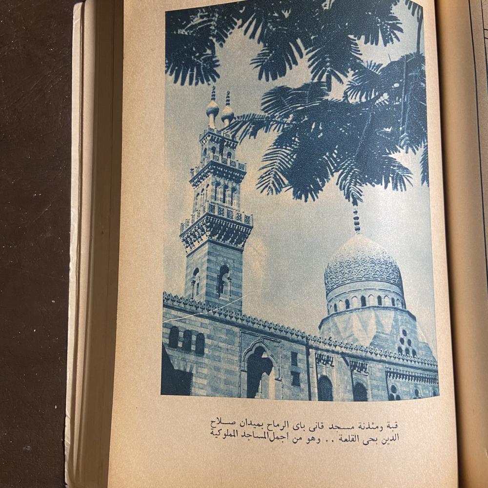 القاهرة_شحاتة عيسي ابراهيم_(X11)
