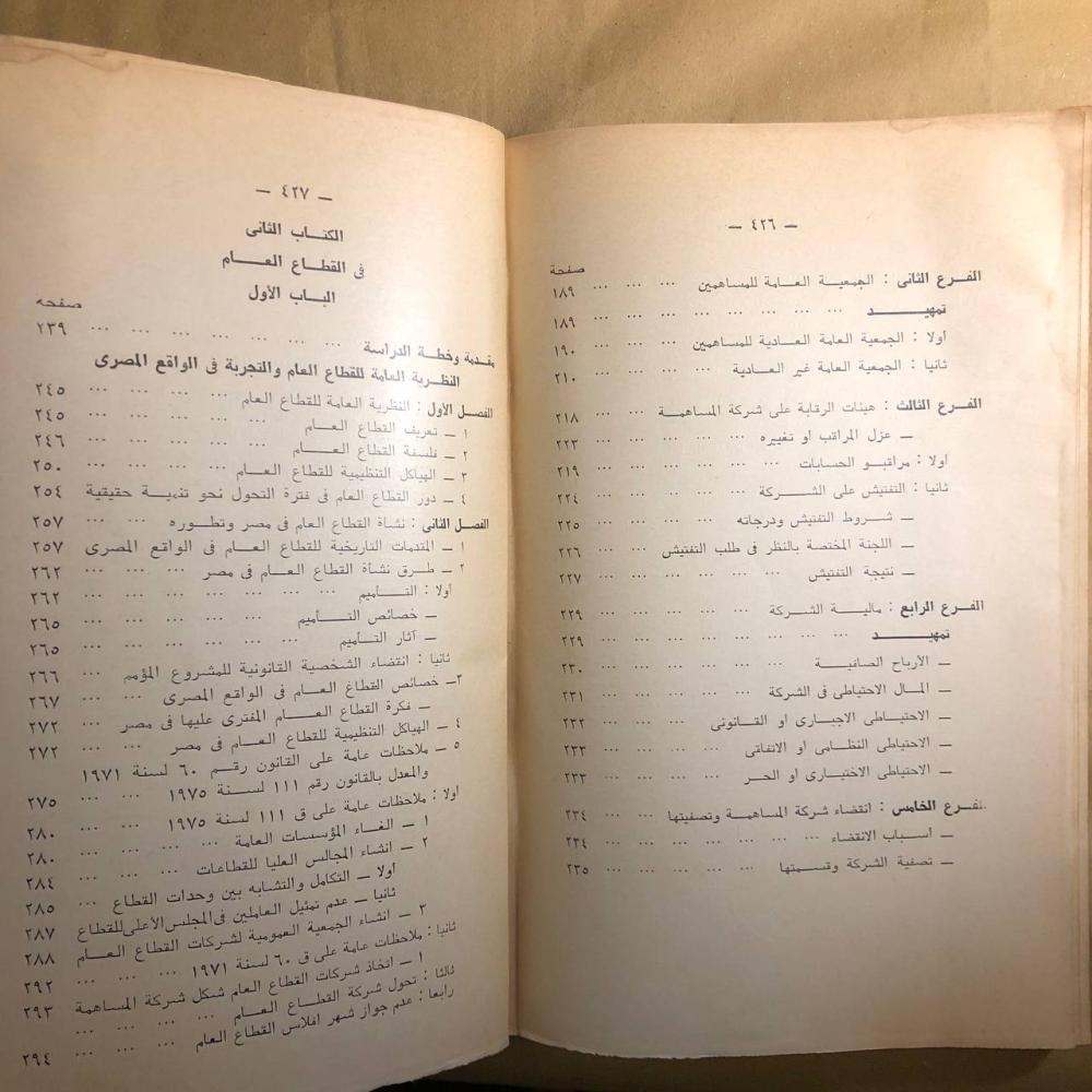 شركات المساهمة القطاع العام-ابو زيد رضوان-D9#
