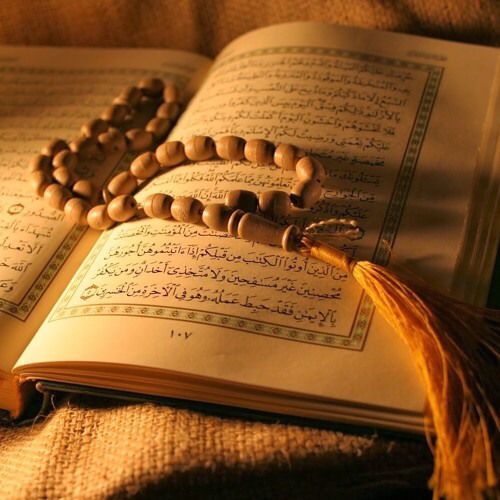 حلقات تحفيظ القران الهاتفية