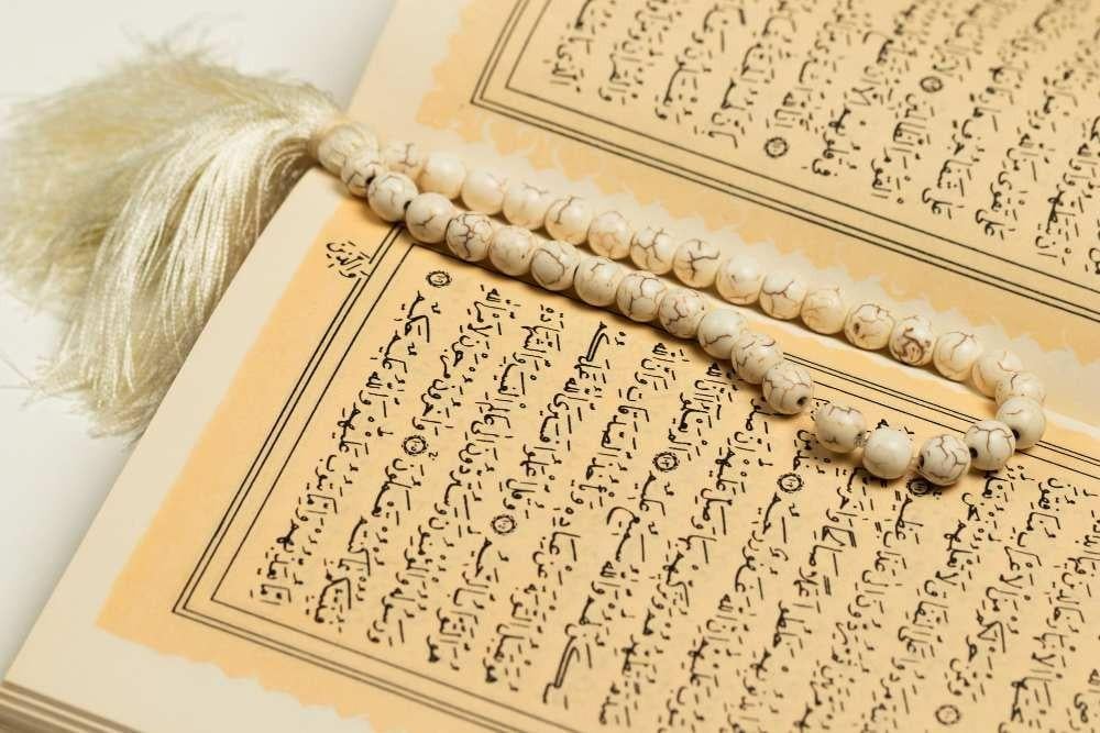 فضل العلماء في القرآن الكريم