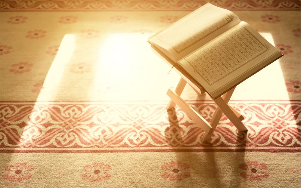 تفسير القرآن الكريم