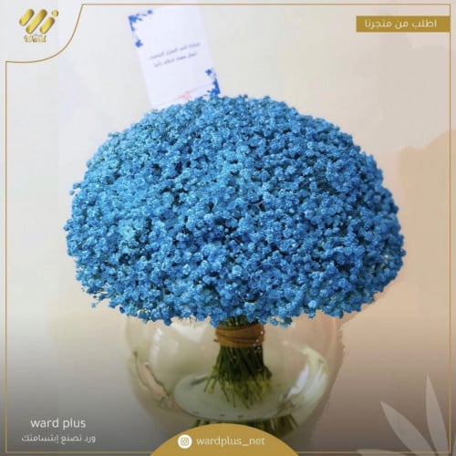 الفازة الزرقاء