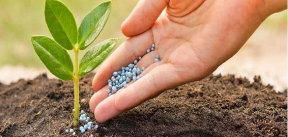 أفضل أنواع الأسمدة لزراعة البذور والحدائق: دليلك لاختيار السماد المثال