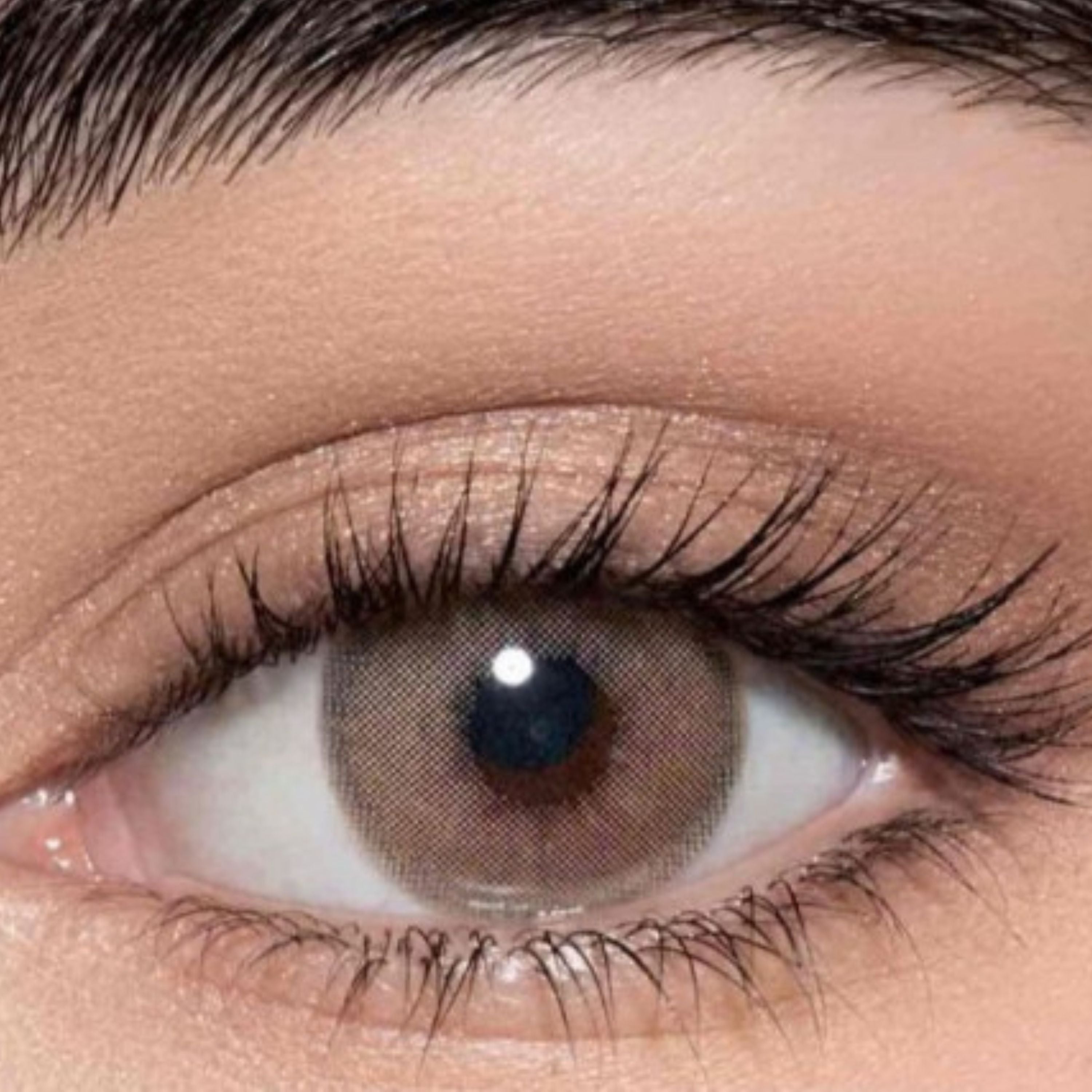 Lens me Contact Lenses Cortado