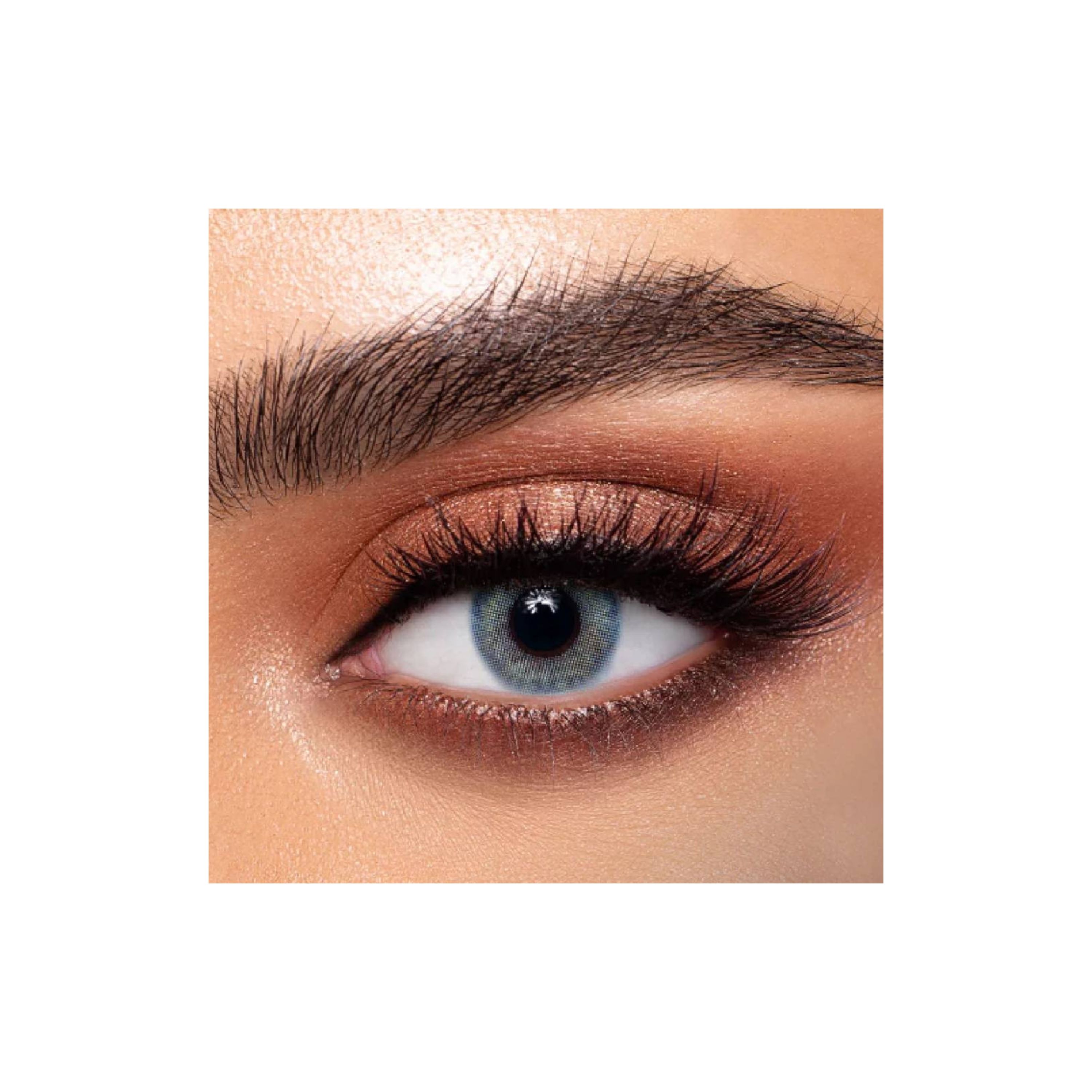 Dahab Daily Contact Lenses Hawaii #29