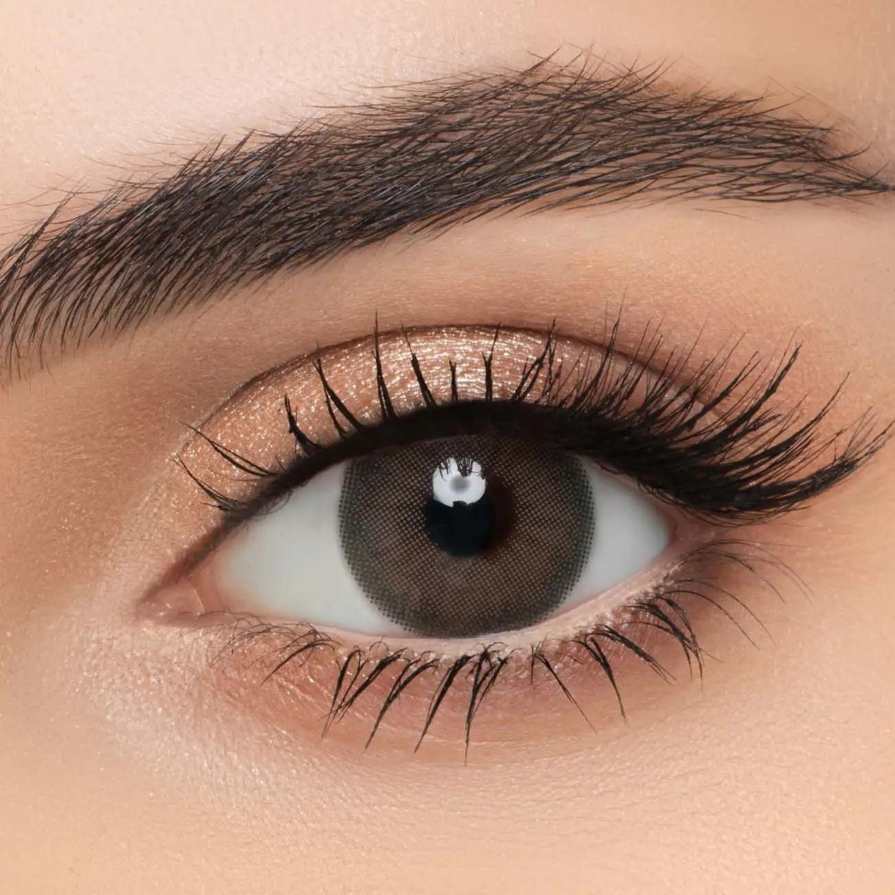Lens me Contact Lenses Arabia Eye