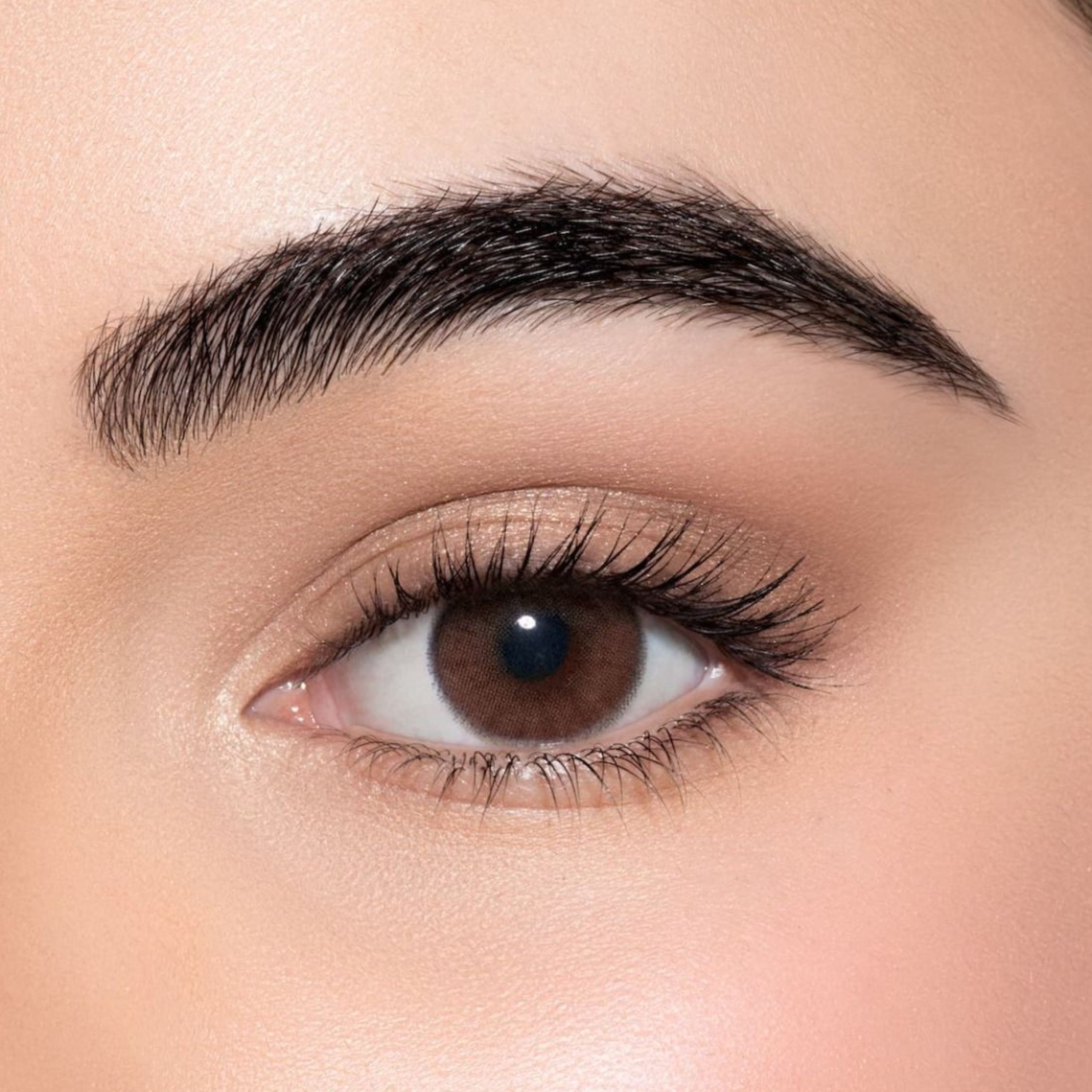 Lens me Contact Lenses Date