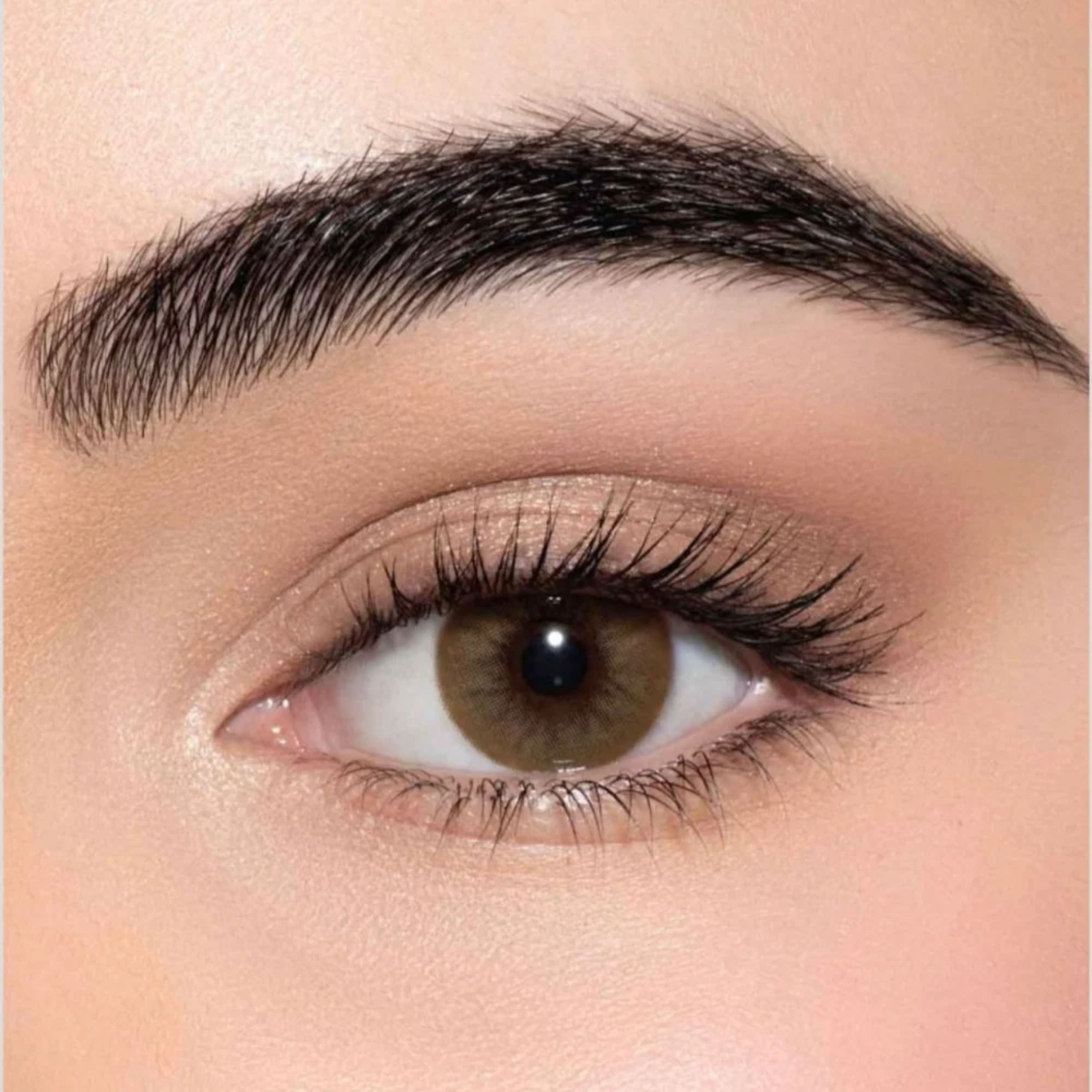 Lens me Contact Lenses Latte
