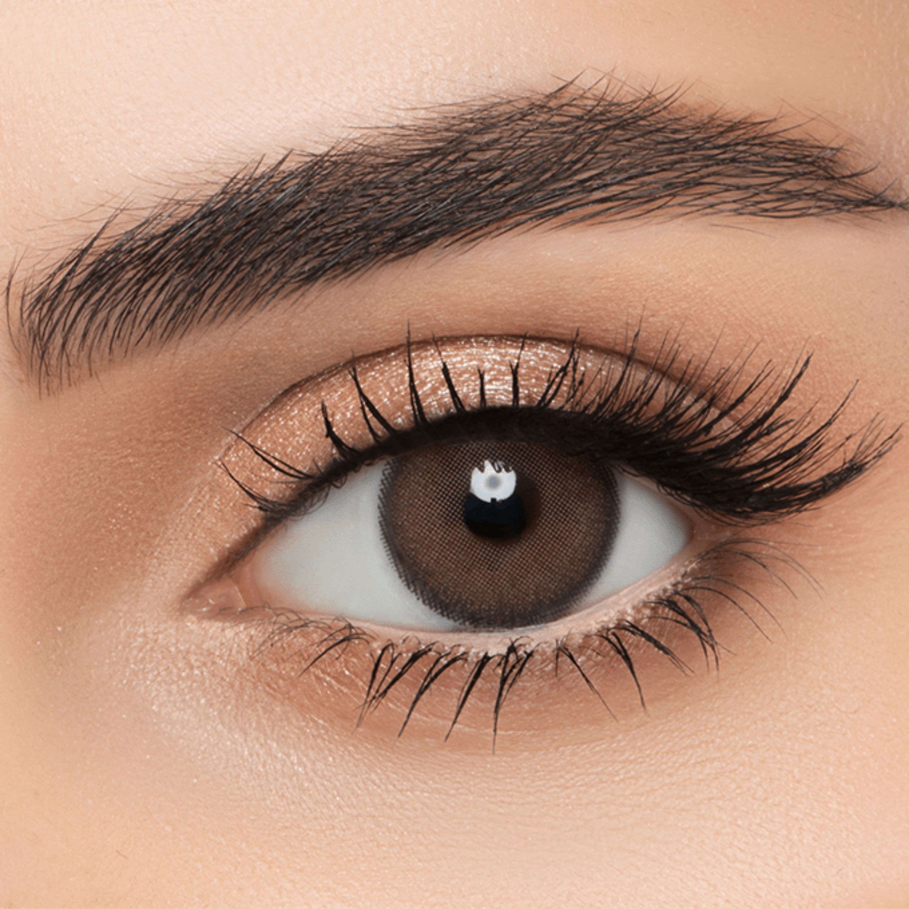 Lens me Contact Lenses Drama