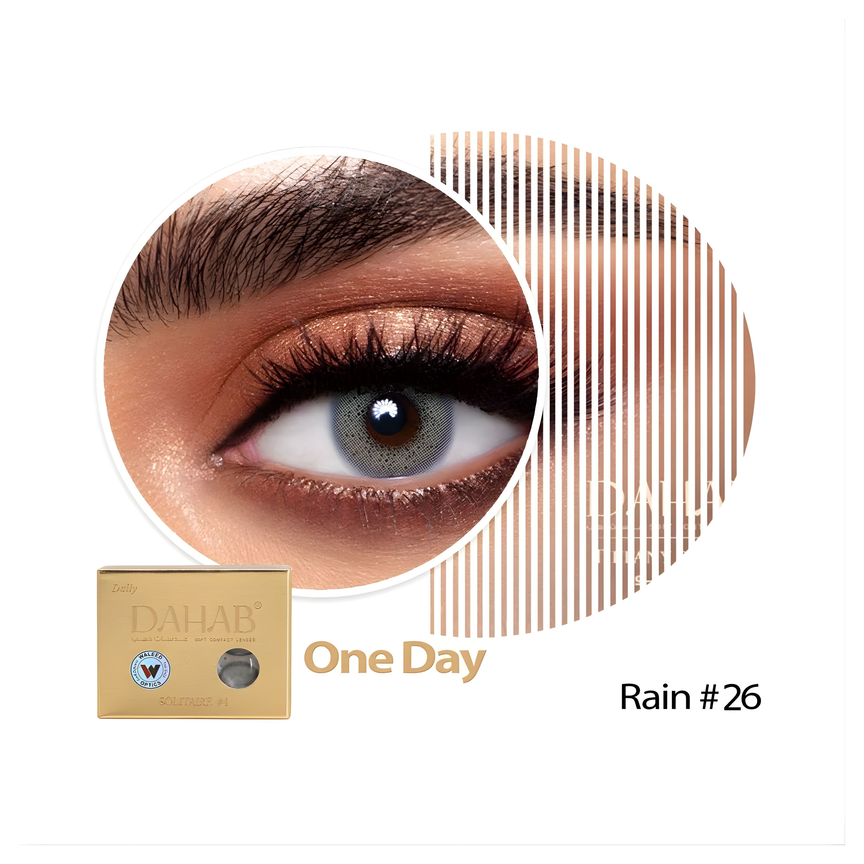 Dahab Daily Lenses Rain