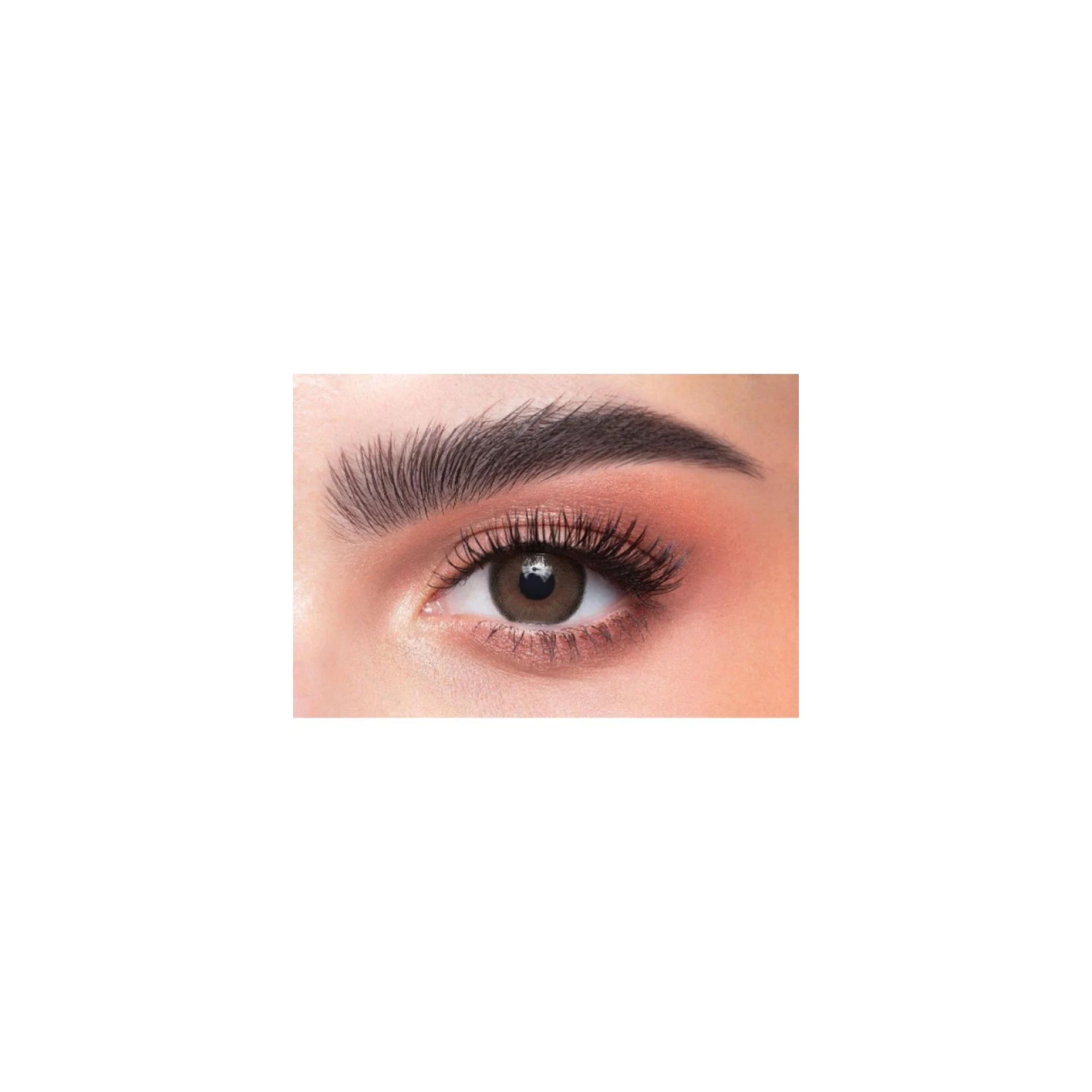 ذهب عدسات شهرية لون كابتشينو