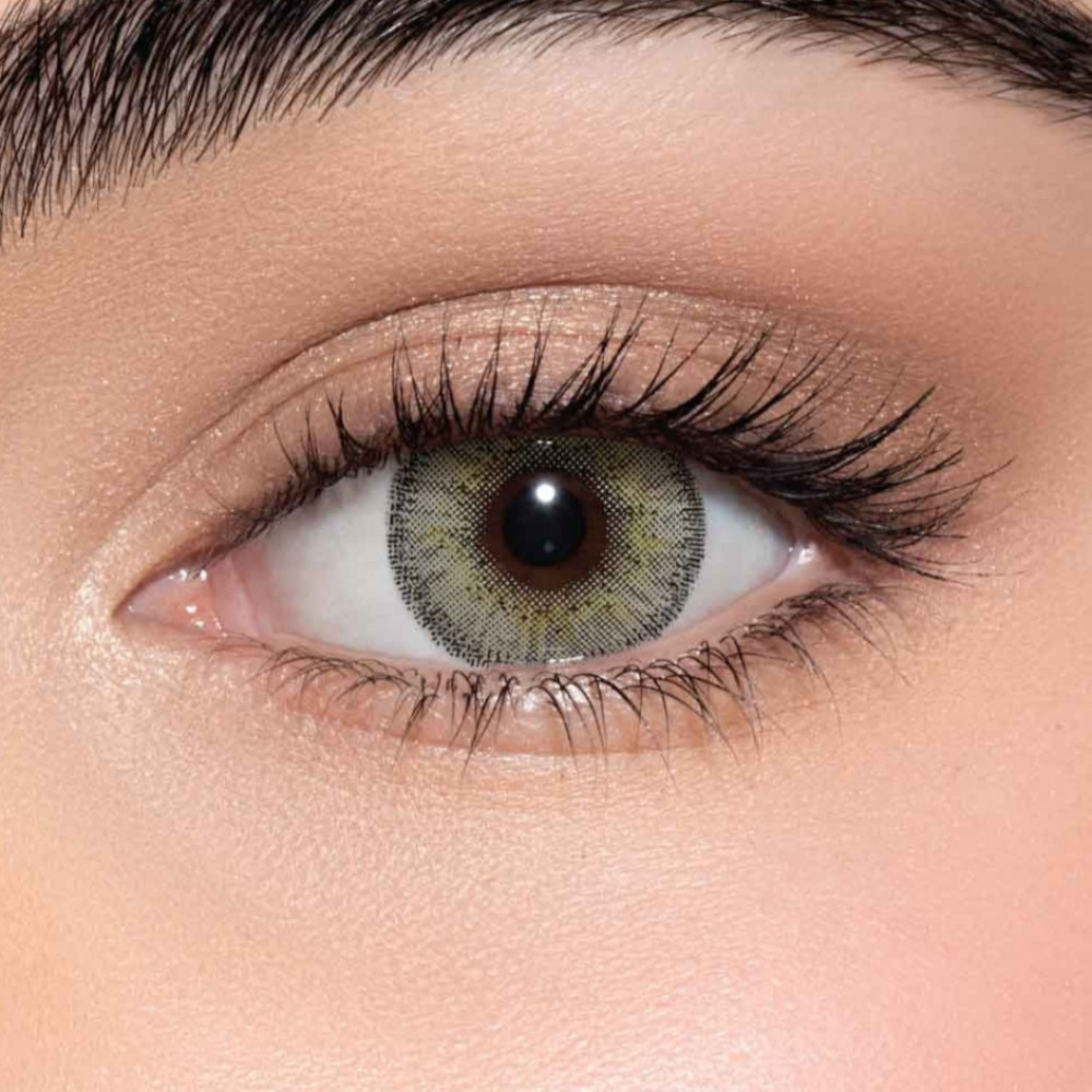 Lens me Contact Lenses Cloud