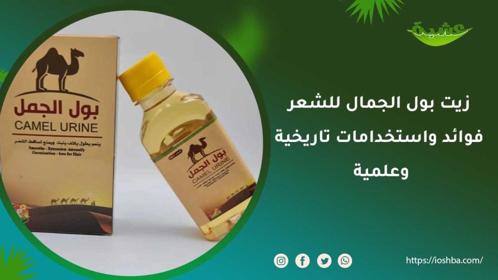 زيت بول الجمال للشعر: فوائد واستخدامات تاريخية وعلمية