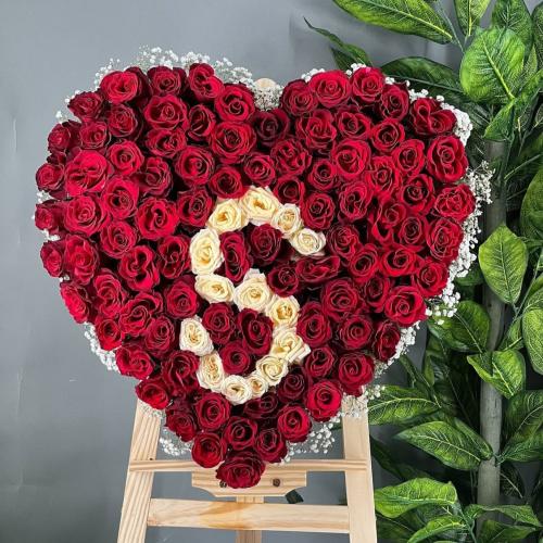 فازة 9