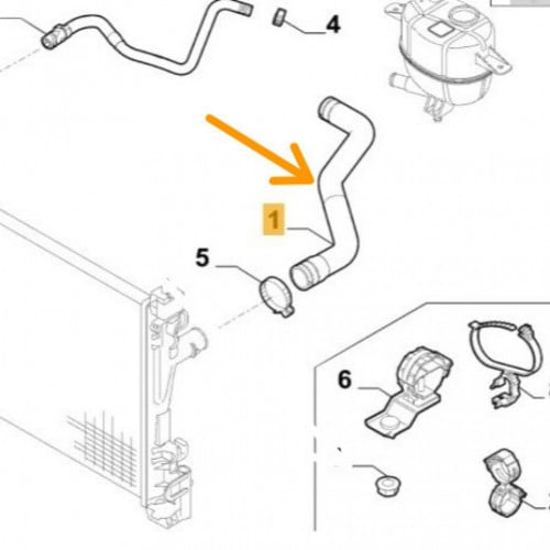 خرطوش رديتر فيورينو كبير وكالة
