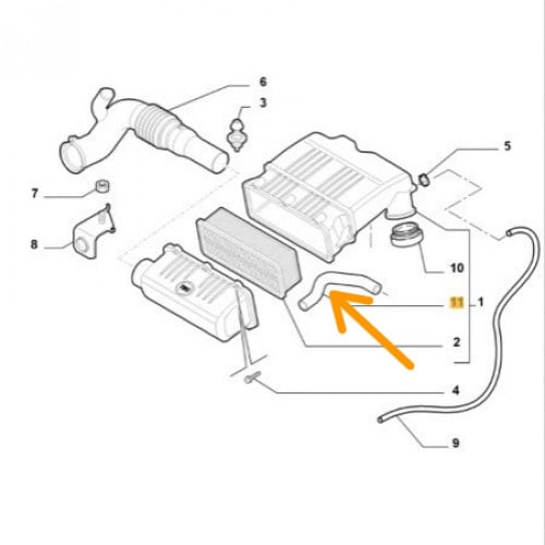 لي تبخير فيورينو