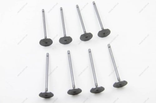 بلوف نار فيات 500X