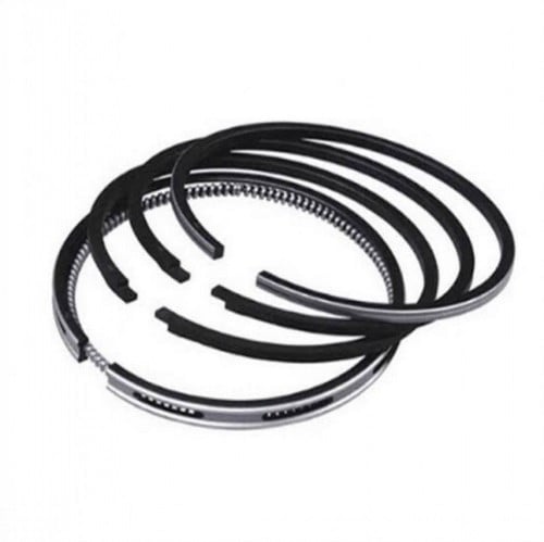 شنبر بيستم الماني فيورينو-السعر لشنبر بيستم واحد فقط