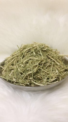 عشبة المدينة مطحونة