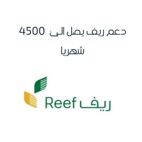 دعم ريف يصل الئ 4500 شهريا