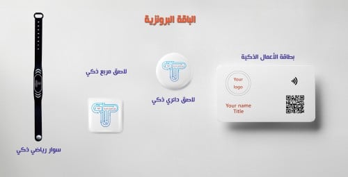 باقة الأعمال البرونزية