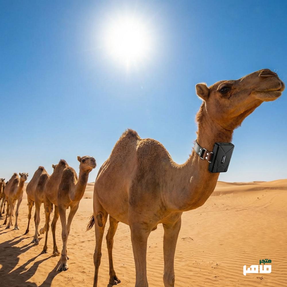 أفضل جهاز تتبع إبل في السعودية تكستار: لا تضيع حلالك بعد اليوم