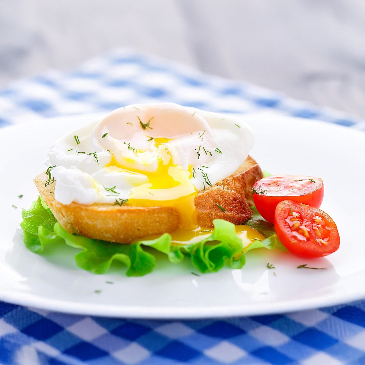 جهاز طهي البيض السريع