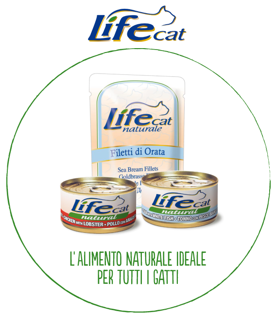 Life Cat