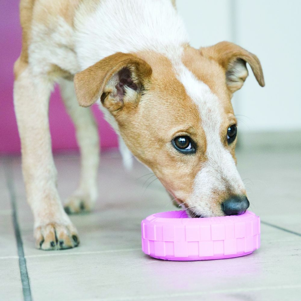 KONG Puppy Tires Lg