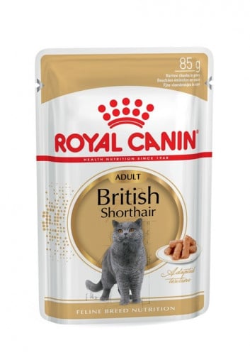 Royal Canin رويال كانين طعام رطب للقطط من سلالة بر...