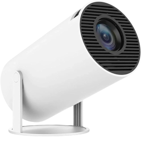 بروجكتر - دينيكس