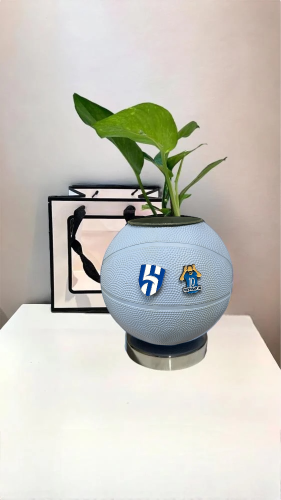 كرة الهلال