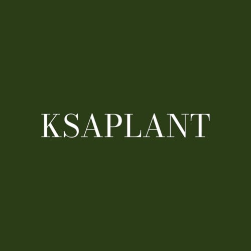 store avatar