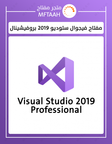 فيجوال ستوديو 2019 بروفيشينال