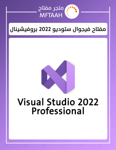 فيجوال ستوديو 2022 بروفيشينال